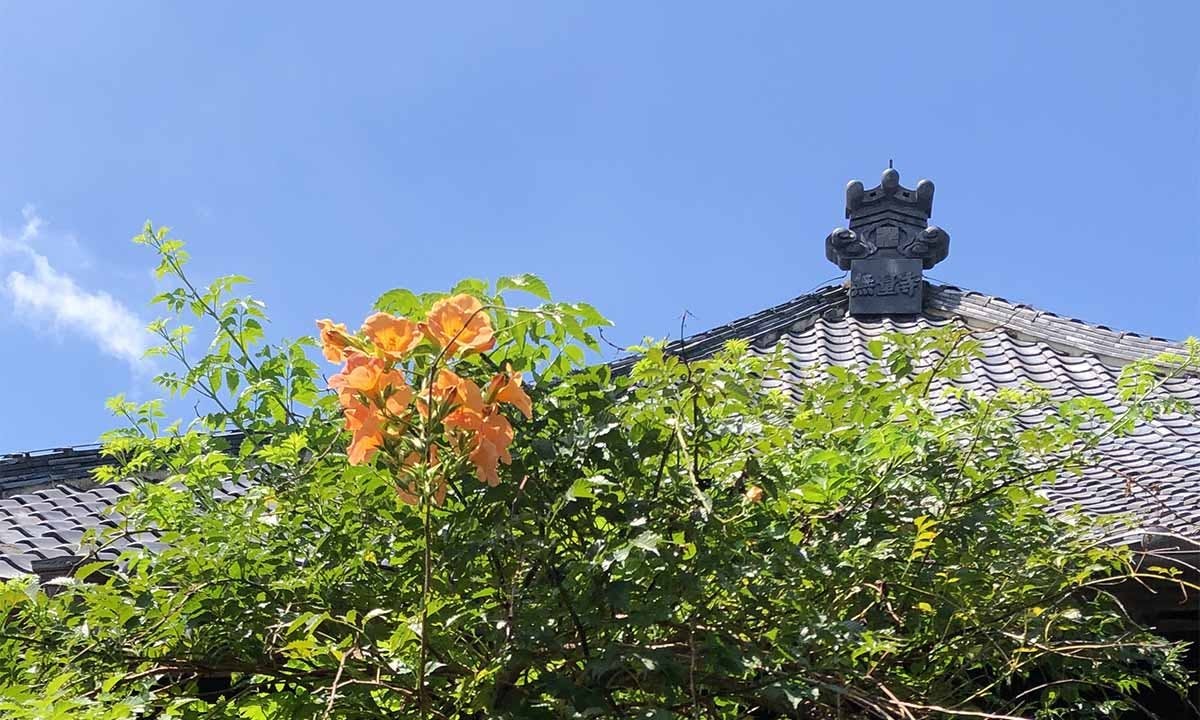 【真言宗智山派】 愛宕山 無量寺