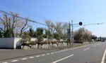 鎌ヶ谷霊園 霊園入口