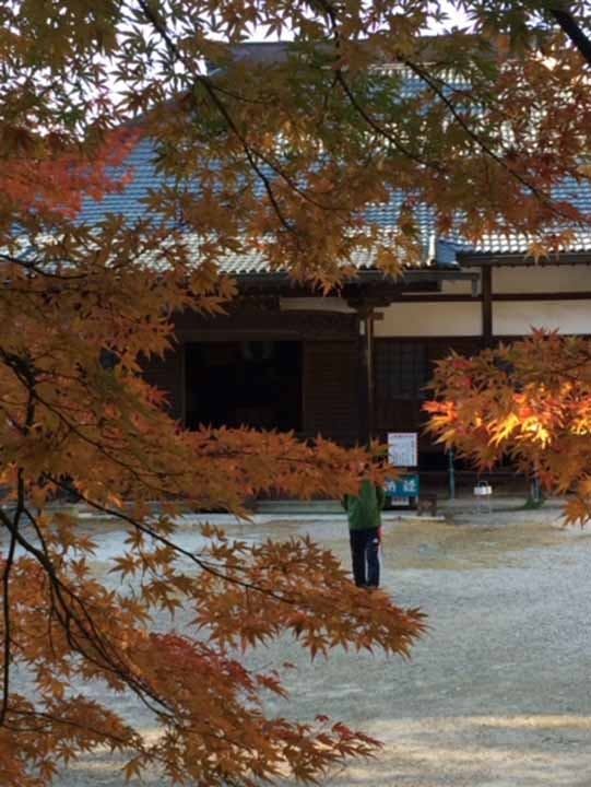 東昌寺  永代個別墓-mini墓-