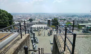 西秦共同墓地