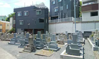 東秦共同墓地