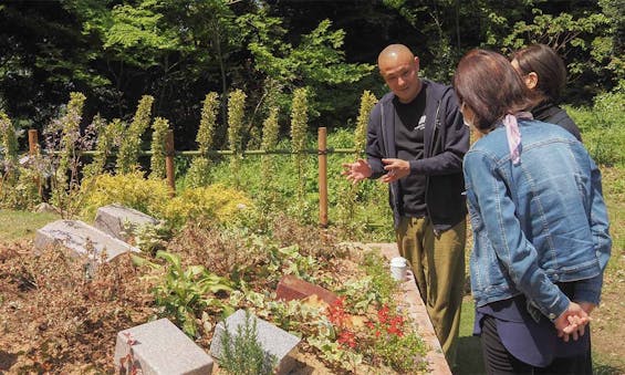 niwabo・安楽寺樹木葬