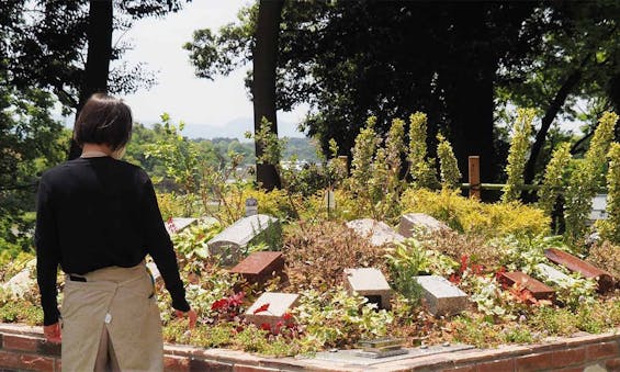 niwabo・安楽寺樹木葬