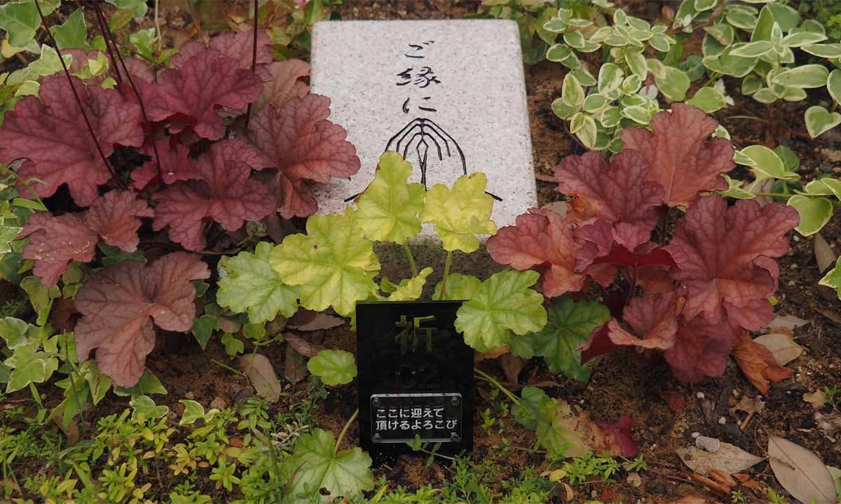 niwabo・安楽寺樹木葬
