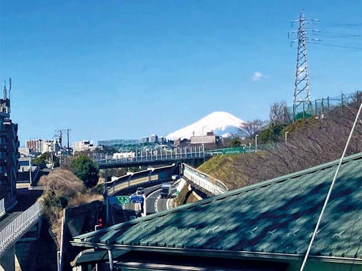 清水ヶ丘霊園樹木葬墓地