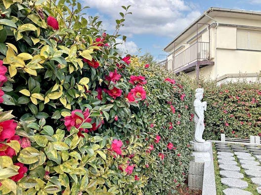 清水ヶ丘さざん華樹木葬墓地