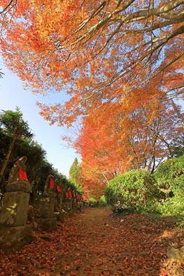 浄漸寺 樹木葬 永代供養墓