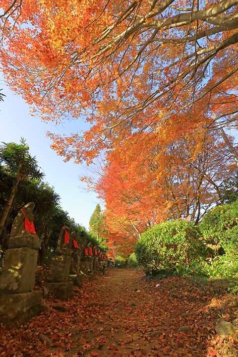 浄漸寺 樹木葬 永代供養墓