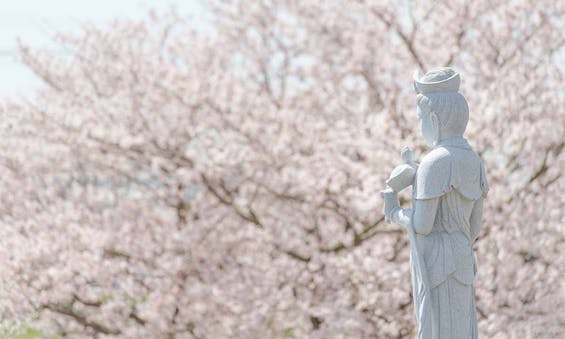 福応寺 のうこつぼ