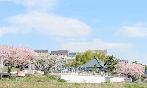 福応寺 のうこつぼ