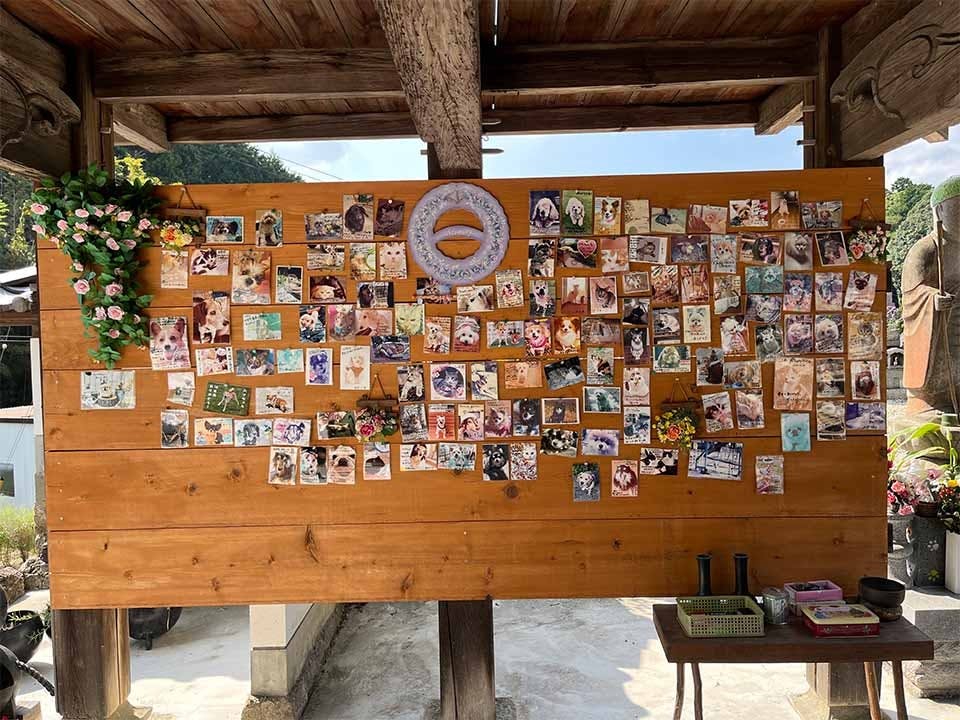 ひだまりの杜 高徳寺