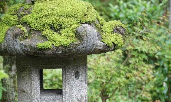 北⽩川 圓光寺納⾻堂・永代供養墓