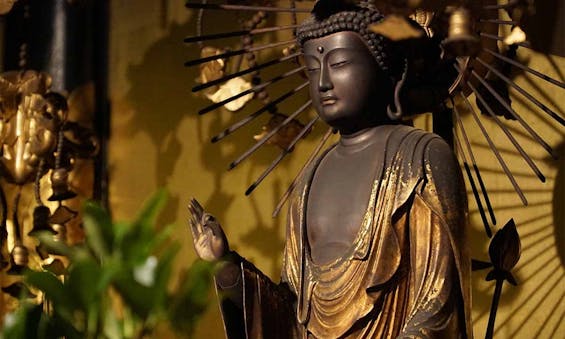 北白川 圓光寺 もみじの山樹木葬