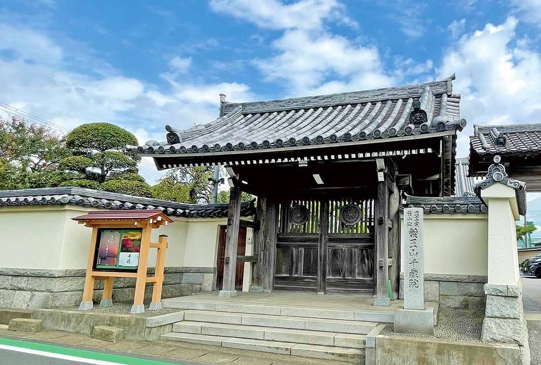 稲毛霊園樹木葬墓地