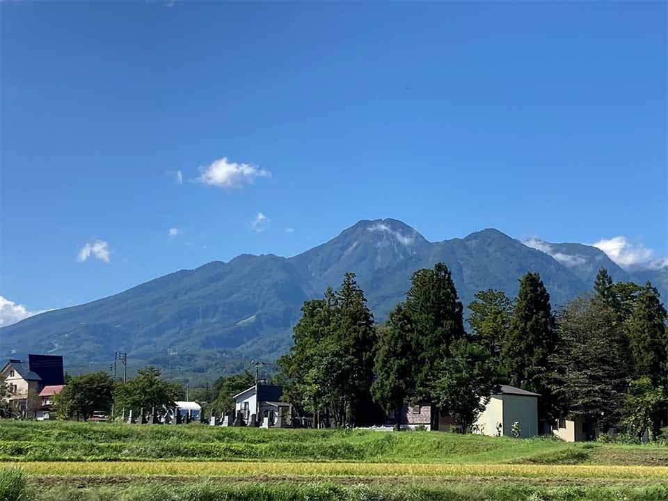 樹木葬やすらぎ中郷