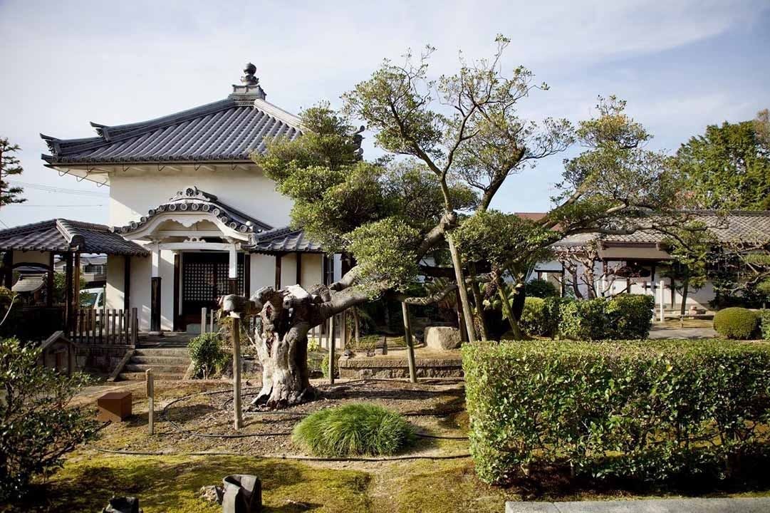 伏見桃山の森