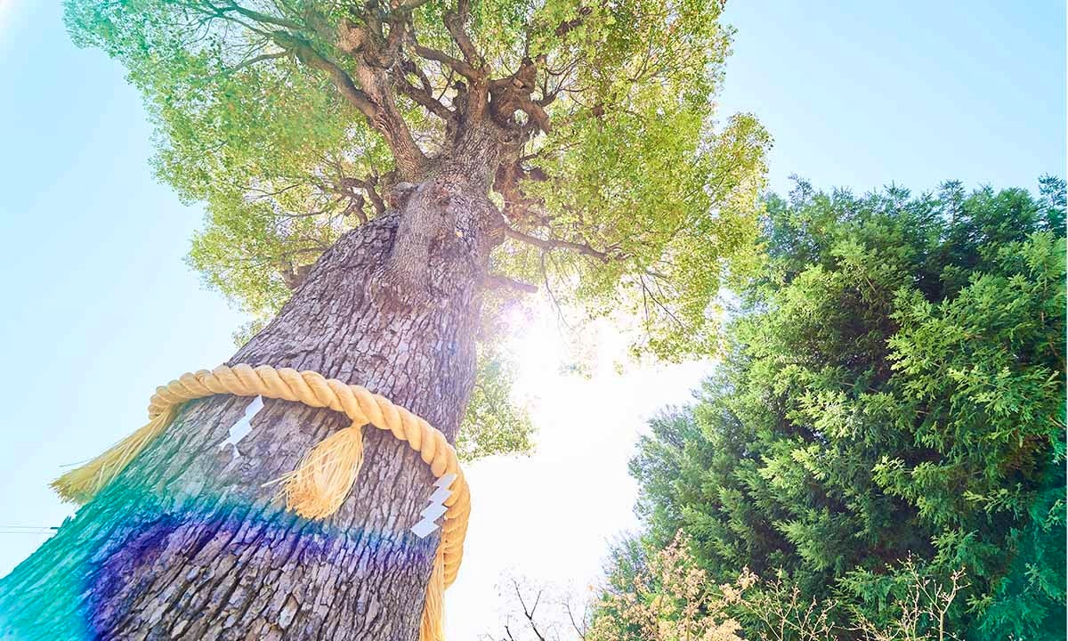 大阪吹田御廟 なごみ霊廟