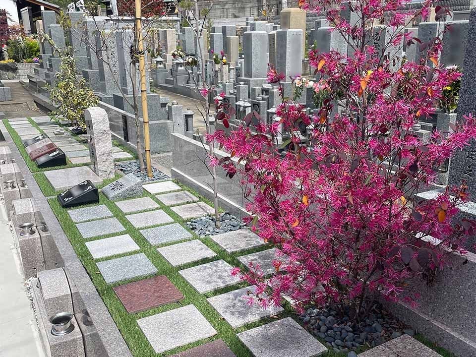 泰聖寺 樹木葬墓地