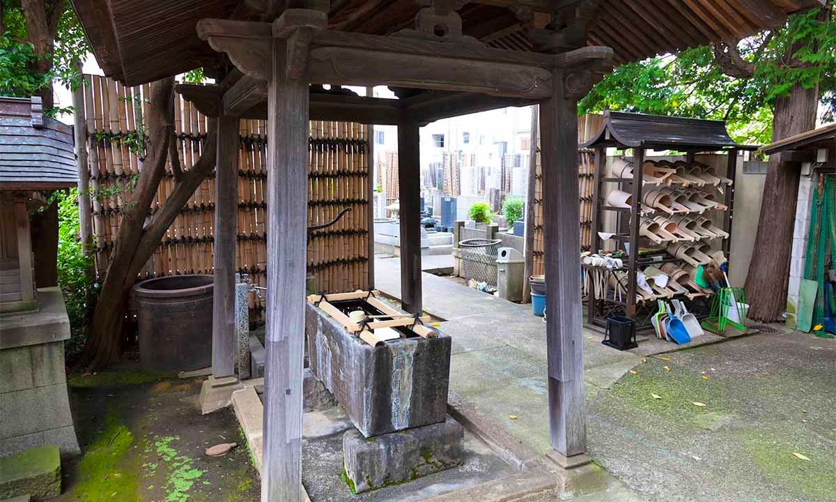 樹木葬「Alberi-アルベリ-」「あおい」