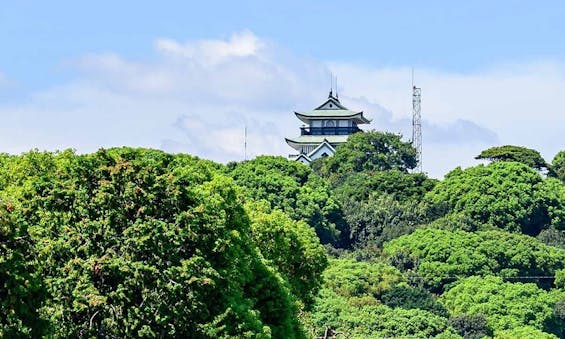 西林寺 樹木葬・永代供養塔・永代個別墓