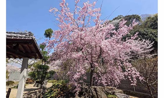 稱名寺 永代納骨堂 遍照殿