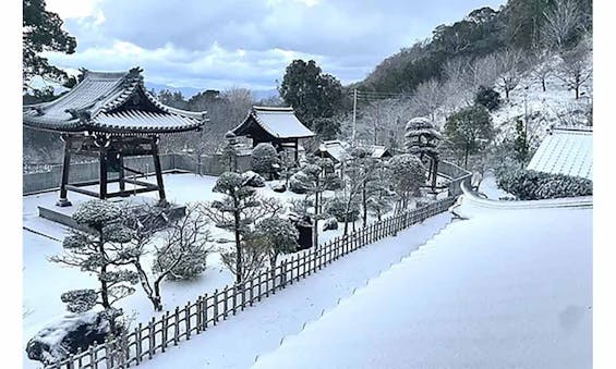 稱名寺 永代納骨堂 遍照殿