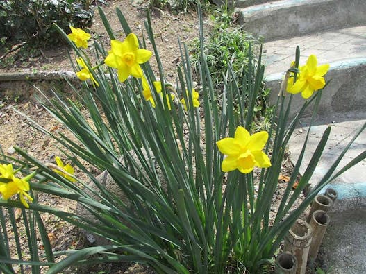 円山あんのん墓苑 樹木葬「陽だまり」