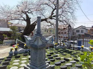 ロイヤル小田原樹木葬墓地(小田原市)の霊園・墓地
