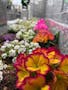 ハートライフメモリアル海老名 花壇には季節の花々を植樹し華やかに