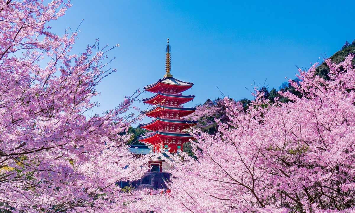 本福寺 永代供養墓・樹木葬