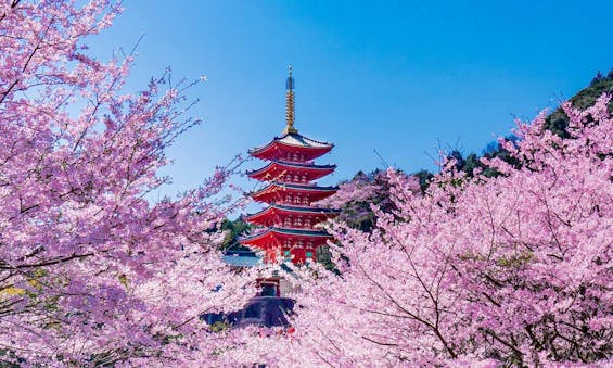 本福寺 永代供養墓・樹木葬