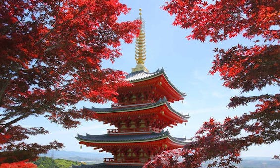 本福寺 永代供養墓・樹木葬