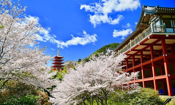 本福寺 永代供養墓・樹木葬