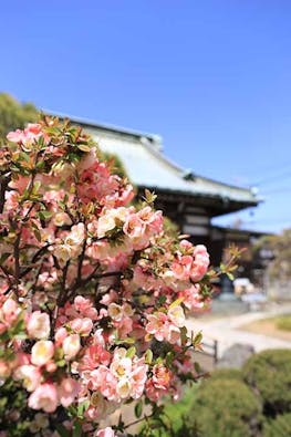 九品寺 永代供養墓 九品廟