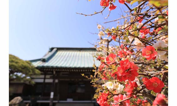 九品寺 永代供養墓 九品廟