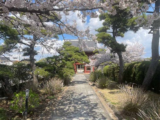 徳願寺 のうこつぼ