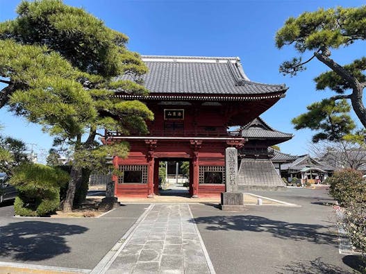 徳願寺 のうこつぼ