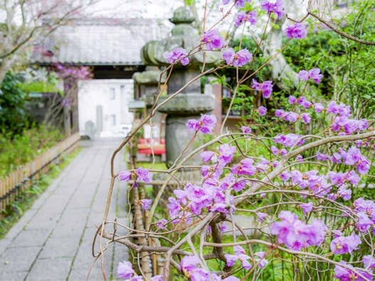 かまくら樹陵 松葉ヶ谷の杜