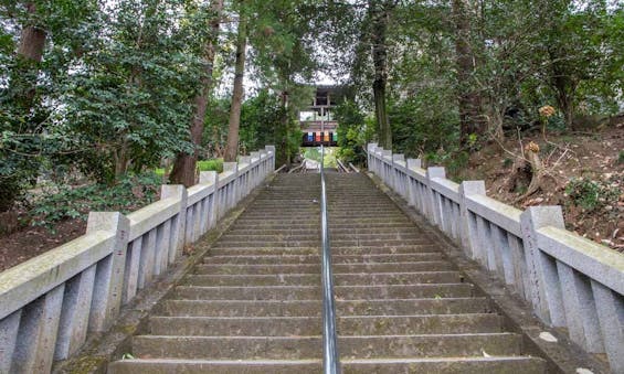 少林山達磨寺 永代供養墓・樹木葬