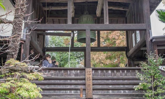 少林山達磨寺 永代供養墓・樹木葬