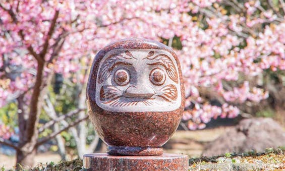 少林山達磨寺 永代供養墓・樹木葬