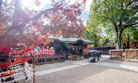 少林山達磨寺 永代供養墓・樹木葬