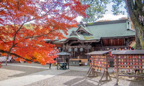 少林山達磨寺 永代供養墓・樹木葬