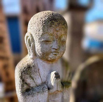 永代供養付 亀有・中川樹木墓苑