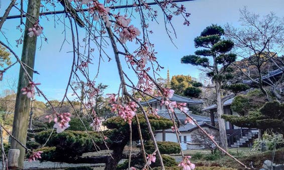 正源寺 慈光堂(永代供養納骨堂)