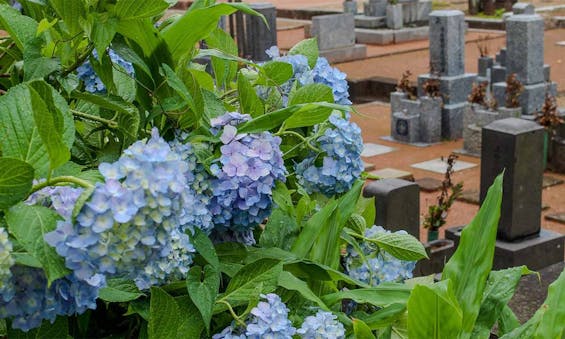 正源寺 慈光堂(永代供養納骨堂)