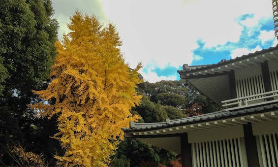 正源寺 慈光堂(永代供養納骨堂)