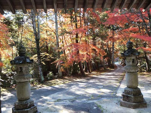 永澤寺もみじ霊園