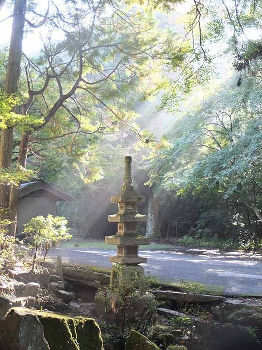 永澤寺もみじ霊園