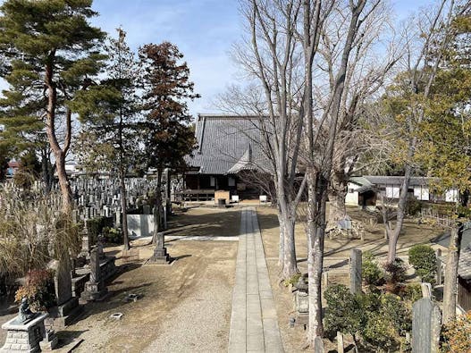 加須の古刹 大銀杏の寺 龍蔵寺